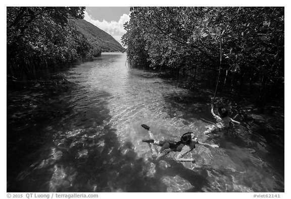Children swim in mangrove forest, Bay Canh Island, Con Dao National Park. Con Dao Islands, Vietnam (black and white)