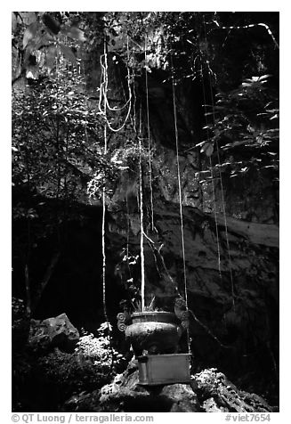 Urn and lianas near the entrance of upper cave, Phong Nha Cave. Vietnam (black and white)