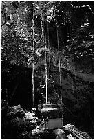 Urn and lianas near the entrance of upper cave, Phong Nha Cave. Vietnam (black and white)