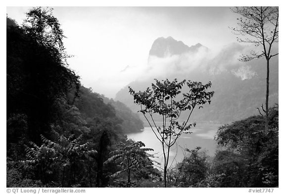 Ba Be Lake with morning mist. Northeast Vietnam (black and white)