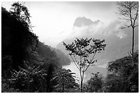 Ba Be Lake with morning mist. Northeast Vietnam ( black and white)