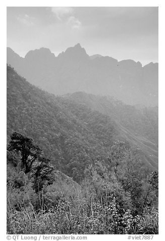 Forests and peaks in the Tram Ton Pass area. Sapa, Vietnam