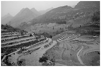 Dry cultivated terraces. Bac Ha, Vietnam ( black and white)