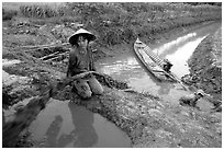 Mechanized irrigation. Mekong Delta, Vietnam ( black and white)