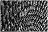 Detail of the thousands hands of a Buddha statue. Ha Tien, Vietnam ( black and white)