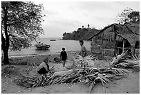 Fishing village with huts made of banana leaves. Hong Chong Peninsula, Vietnam (black and white)