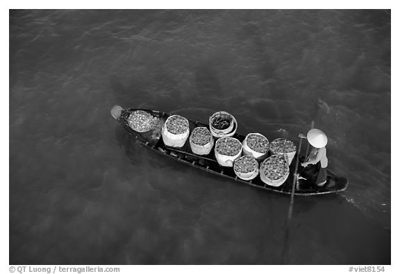 Transporting fruit on a small boat. Can Tho, Vietnam (black and white)