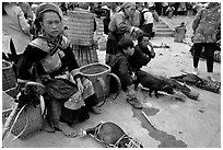 Pigs ready to be carried away for sale, sunday market. Bac Ha, Vietnam (black and white)