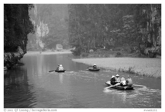 Villagers go to work floating a shallow river in Tam Coc. Ninh Binh,  Vietnam