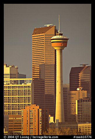 Calgary tower and skyline, late afternoon. Calgary, Alberta, Canada (color)