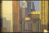 High-rise buildings. Calgary, Alberta, Canada