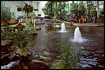 Indoor pond and garden. Calgary, Alberta, Canada
