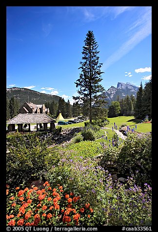 Flowers in Cascade Gardens. Banff National Park, Canadian Rockies, Alberta, Canada