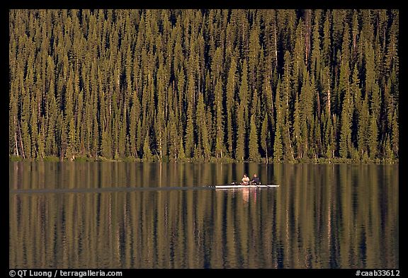 Rower on Lake Louise with forest reflection, early morning. Banff National Park, Canadian Rockies, Alberta, Canada