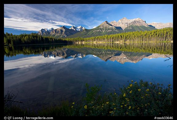 Bow range reflected in Herbert Lake, early morning. Banff National Park, Canadian Rockies, Alberta, Canada (color)