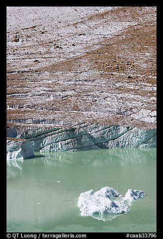 Iceberg, Cavell Pond, and Cavell Glacier. Jasper National Park, Canadian Rockies, Alberta, Canada