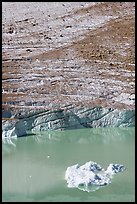 Iceberg, Cavell Pond, and Cavell Glacier. Jasper National Park, Canadian Rockies, Alberta, Canada