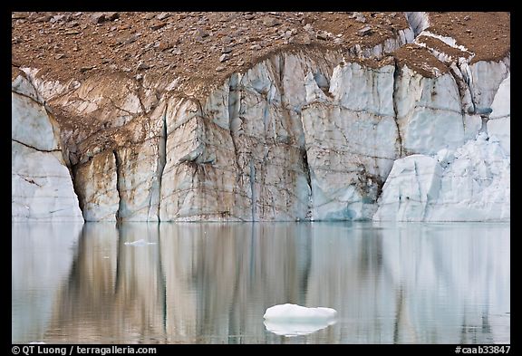 Iceberg and front of Cavell Glacier. Jasper National Park, Canadian Rockies, Alberta, Canada