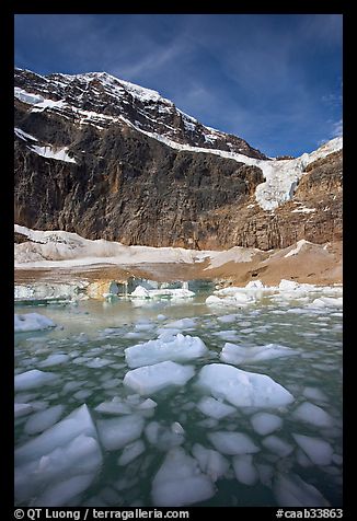 Iceberg-filled  Glacial Pond, and steep face of Mt Edith Cavell, early morning. Jasper National Park, Canadian Rockies, Alberta, Canada (color)