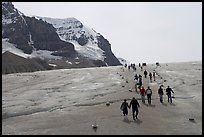Tourists in a marked area of Athabasca Glacier. Jasper National Park, Canadian Rockies, Alberta, Canada (color)