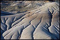 Erosion patters in mud, Dinosaur Provincial Park. Alberta, Canada (color)