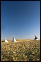 Teepee tents and prairie, late afternoon, Head-Smashed-In Buffalo Jump. Alberta, Canada