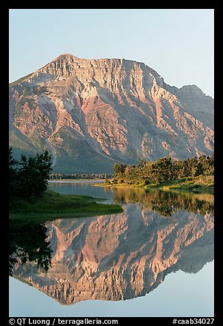 Mountain and reflection in Middle Waterton Lake, sunrise. Waterton Lakes National Park, Alberta, Canada (color)