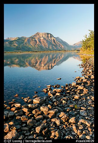 Pebbles, Middle Waterton Lake, and Vimy Peak, early morning. Waterton Lakes National Park, Alberta, Canada (color)
