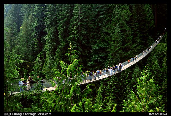 Capilano suspension bridge with tourists. Vancouver, British Columbia, Canada (color)