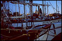 Sailboats with lights of the legislature appearing between masts. Victoria, British Columbia, Canada (color)