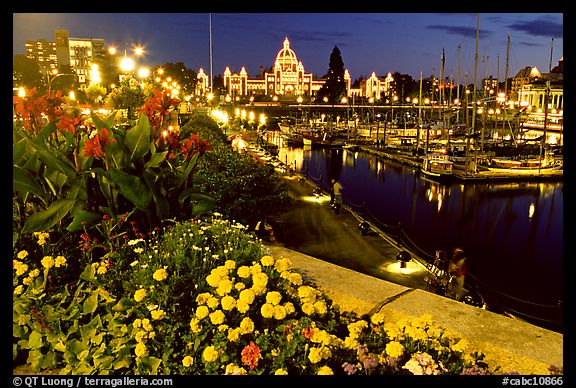 Flowers, inner harbour, and lights at night. Victoria, British Columbia, Canada