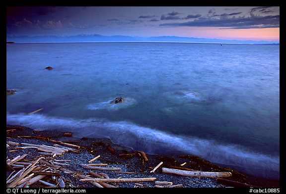 Beach with driftwood, and Olympic Mountains across the Juan de Fuca Strait. Victoria, British Columbia, Canada
