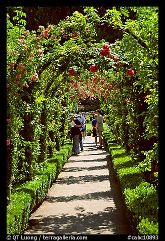 Arbour and path in Rose Garden. Butchart Gardens, Victoria, British Columbia, Canada