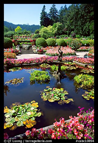 Pond in Italian Garden. Butchart Gardens, Victoria, British Columbia, Canada