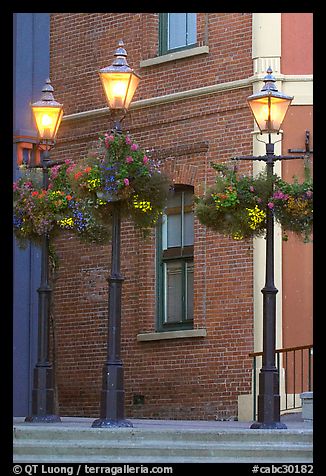Street lamps with flower baskets and brick wall. Victoria, British Columbia, Canada (color)