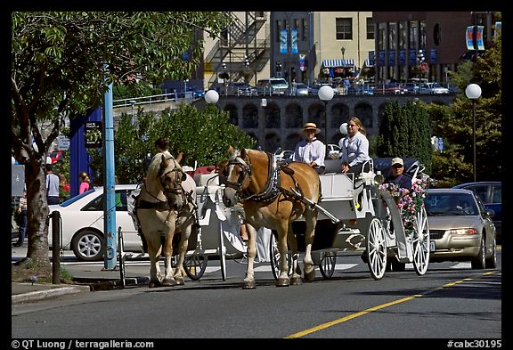 Horse carriagess on the street. Victoria, British Columbia, Canada