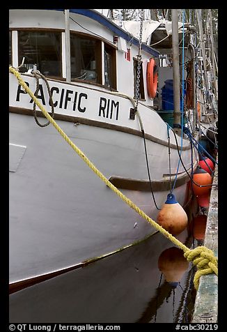 Commercial fishing boat, Uclulet. Vancouver Island, British Columbia, Canada (color)