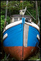 Prow of retired fishing boat. Vancouver Island, British Columbia, Canada (color)