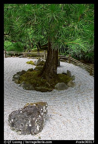 Gravel and tree, Japanese Garden. Butchart Gardens, Victoria, British Columbia, Canada