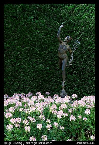 Florentine statue of Mercury. Butchart Gardens, Victoria, British Columbia, Canada (color)