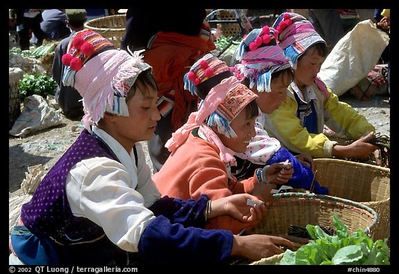 Bai women in tribal dress selling vegetables at the Monday market. Shaping, Yunnan, China