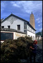 Rural activity in a street close to the Three Pagodas. Dali, Yunnan, China (color)