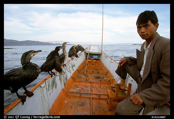 Fisherman and cormorant fishing birds. Dali, Yunnan, China (color)