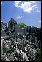 Maze of grey limestone pinnacles and peaks of the Stone Forst. Shilin, Yunnan, China (color)