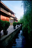 Wooden houses and vegetation near a canal. Lijiang, Yunnan, China