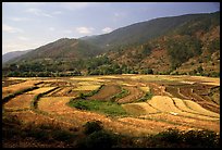Fields on the road between Lijiang and Panzhihua. (color)