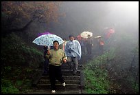 Pilgrims with umbrellas descend some of the tens of thousands of stairs. Emei Shan, Sichuan, China ( color)