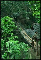 Suspension bridge between Qingyin and Hongchunping. Emei Shan, Sichuan, China (color)