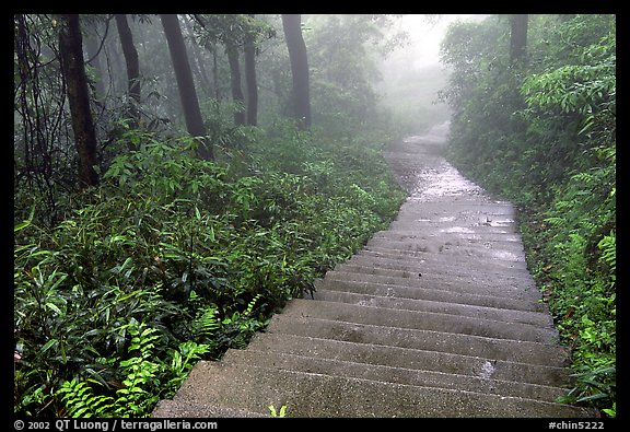 The staircase above Hongchunping. Emei Shan, Sichuan, China (color)