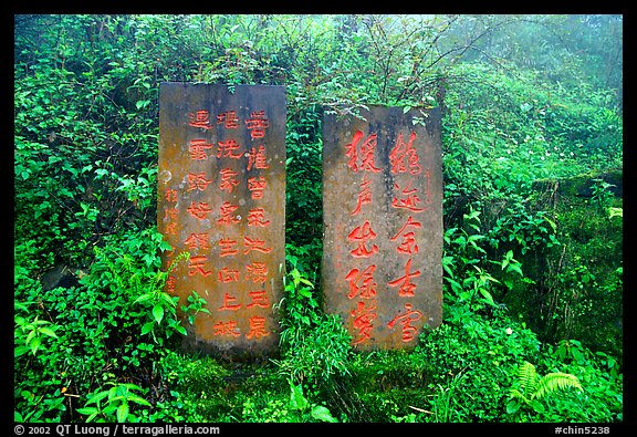 Stone tablets with Chinese scripture. Emei Shan, Sichuan, China (color)